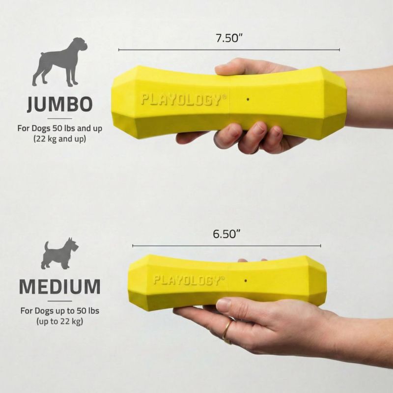 Juguete para perro Playology Palo chirriante extra grande con aroma a pollo