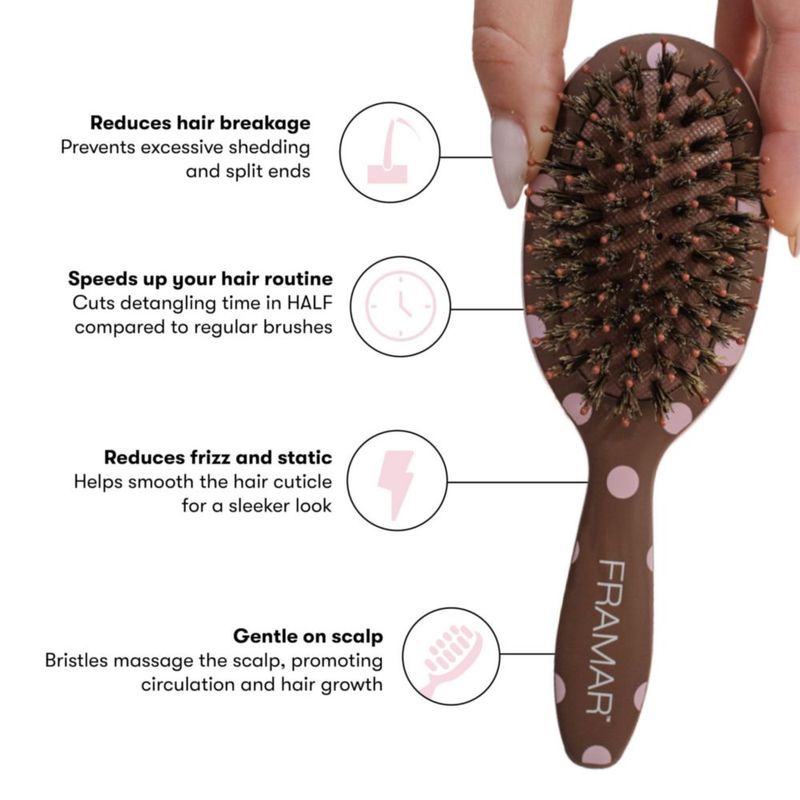 Cepillo de Cabello FRAMAR Mini de Viaje con Cerdas de Jabalí