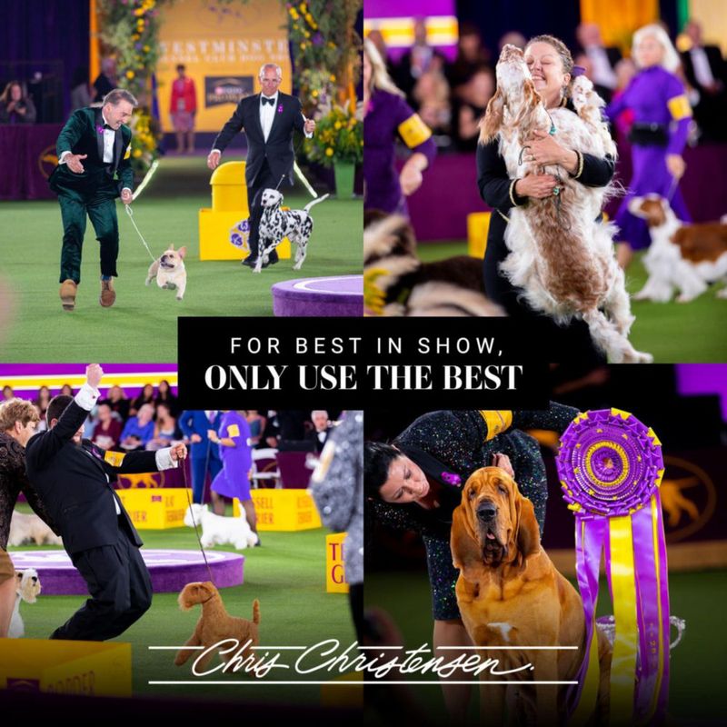 Acondicionador para Perros Chris Christensen 38 L Miracle Repair