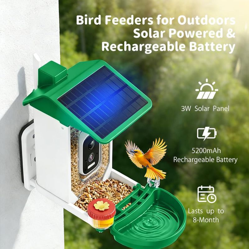 Comedero para Pájaros FreeKoala 4K IA con Energía Solar IP66