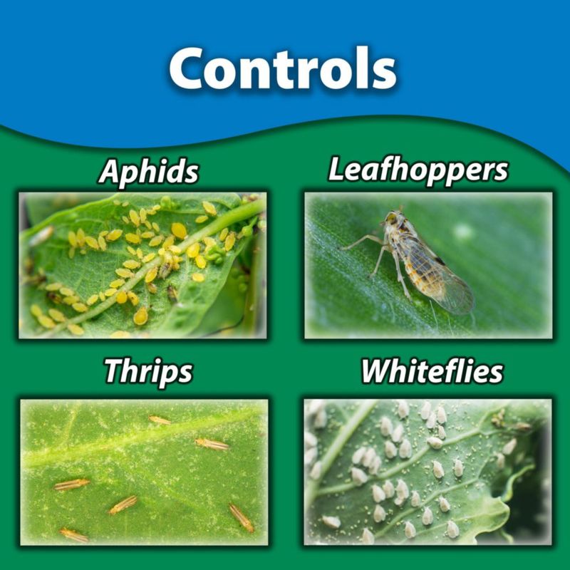 Pesticida Monterey 946 ml para Frutas y Verduras – Aplicación al Suelo