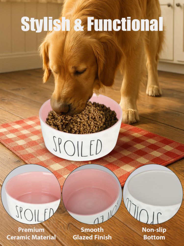 Cuenco para perro WoofinPets 2100 ml 20 cm cerámico grande