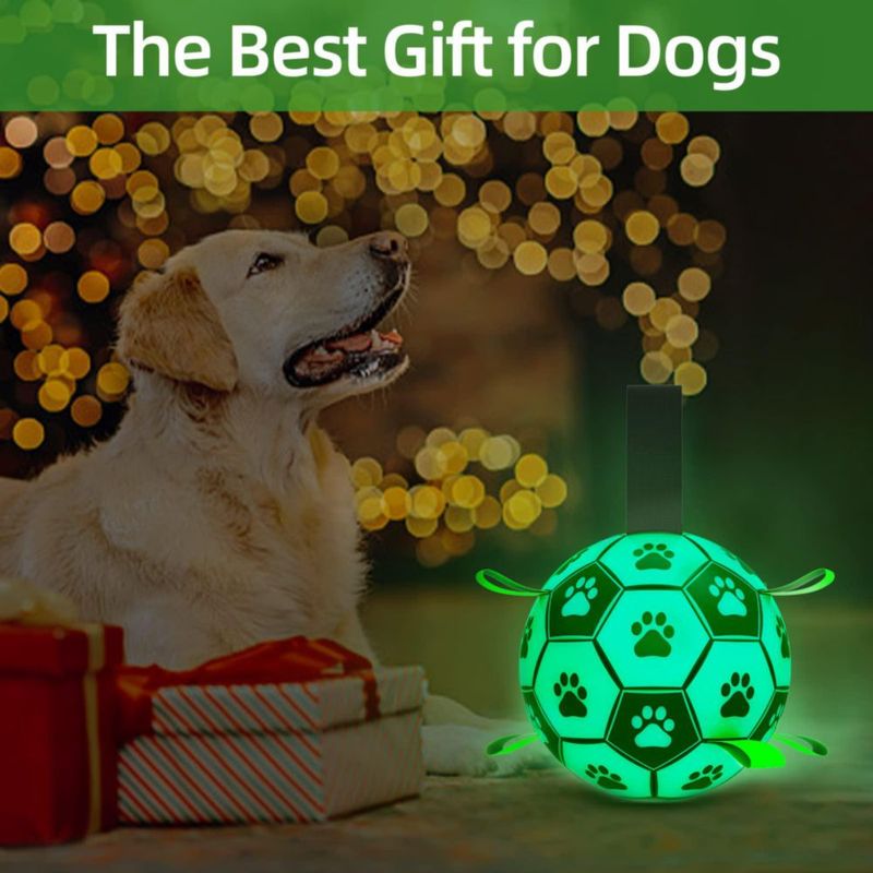 Balón de fútbol QDAN para perros grandes que brilla en la oscuridad