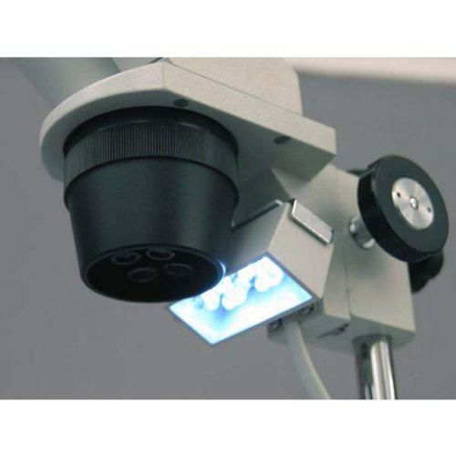 Microscopio estereoscópico binocular AmScope SE305R-PZ-LED WF10x