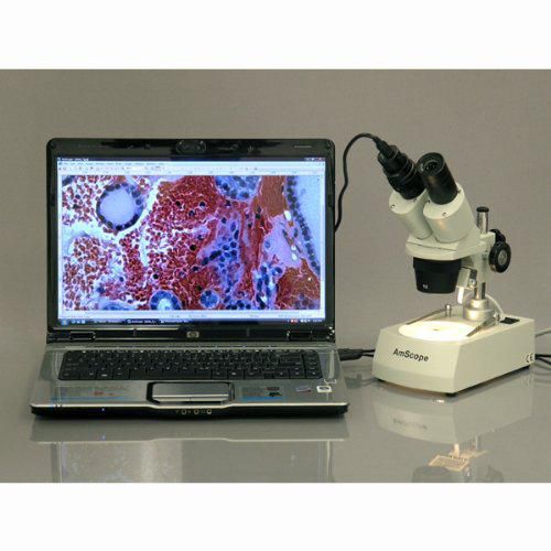 Microscopio estereoscópico binocular AmScope SE305R-PZ-LED WF10x