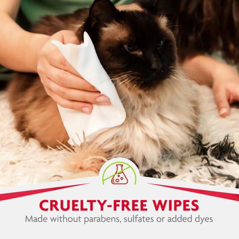 Toallitas de aseo FURminator 50 unidades para gatos