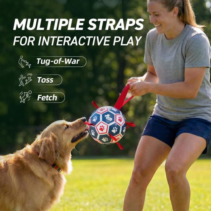 Juguete para Perro QDAN Pelota de Fútbol 18 cm con Correas