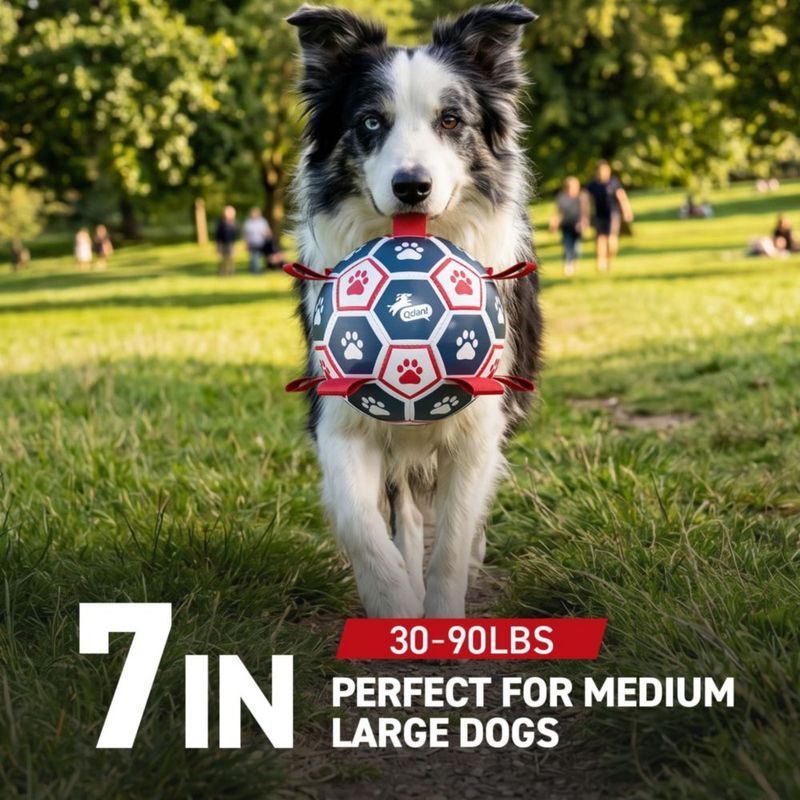 Juguete para Perro QDAN Pelota de Fútbol 18 cm con Correas