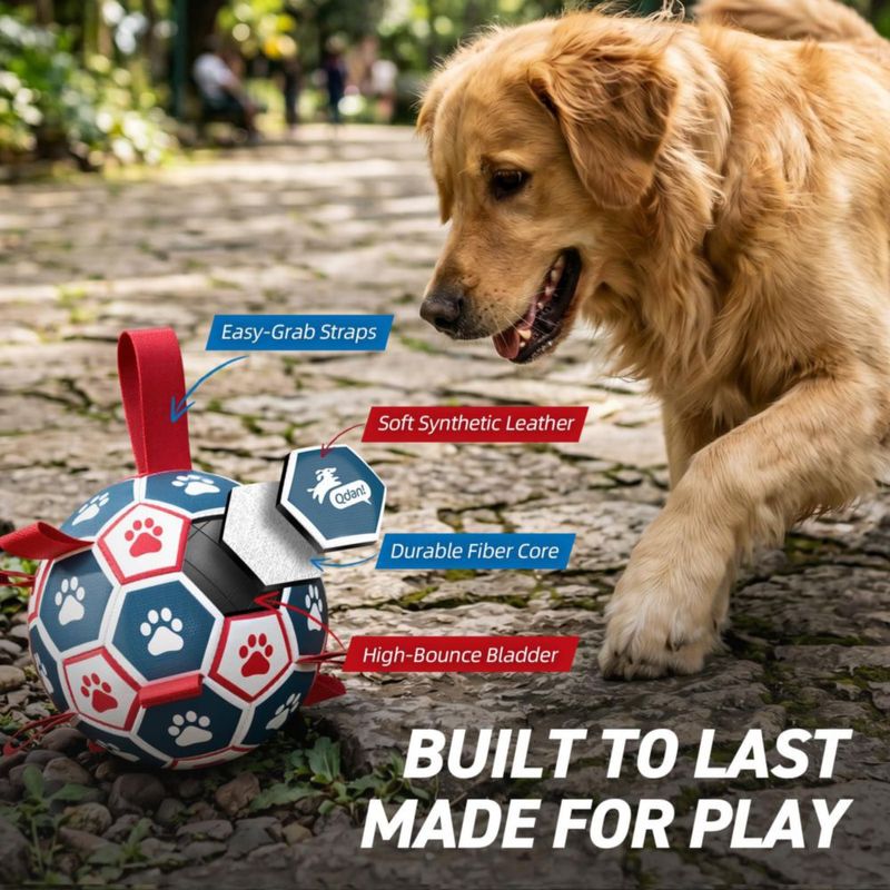 Juguete para Perro QDAN Pelota de Fútbol 18 cm con Correas