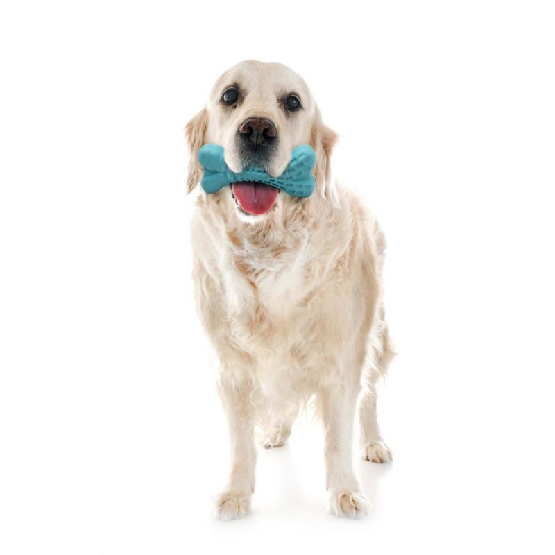 Juguete de Masticar Playology Senior Jumbo con Aroma a Mantequilla de Maní para Perros