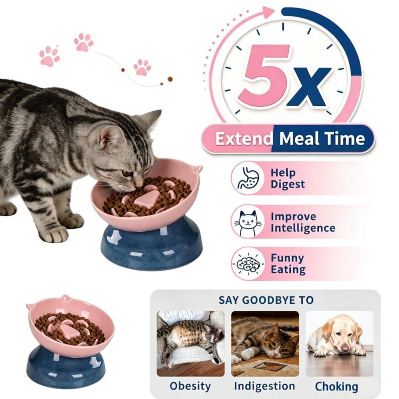 Cuenco para gato KittyDine cerámico con alimentación lenta inclinado 15°