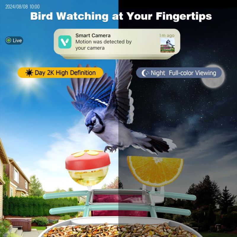 Alimentador para Aves VIUBIRD Solar 24 lb (11 kg) Cámara 2K HD WiFi