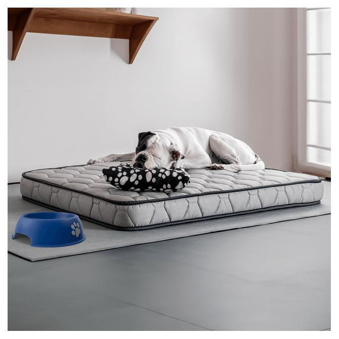 Colchon para perro más almohada Talla X