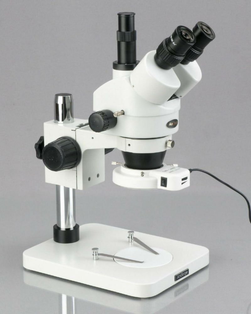 Microscopio Estereoscópico Trinocular AmScope 13 MP con Zoom