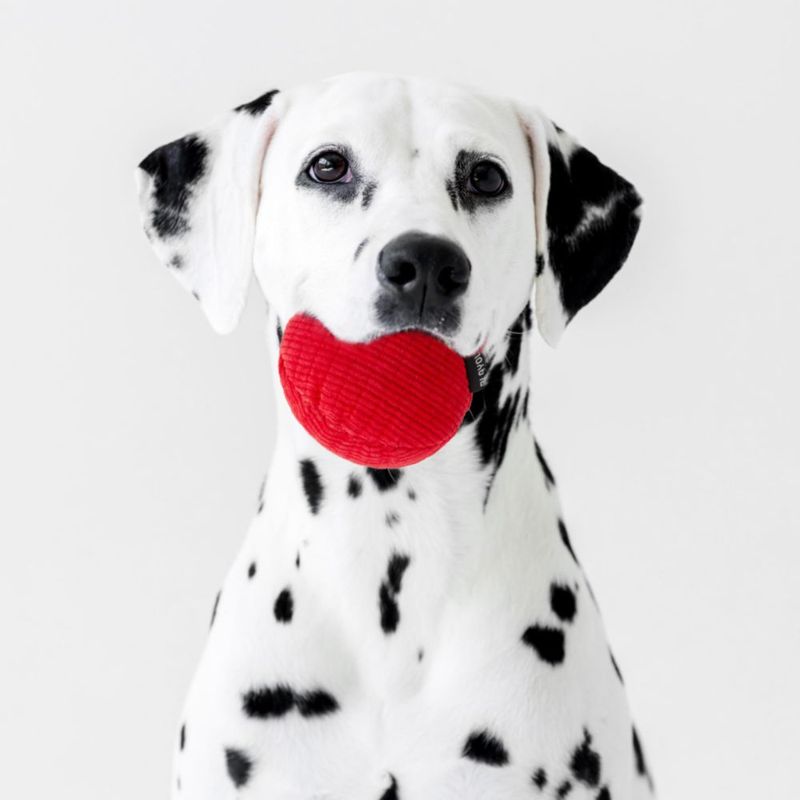 Pelota de Peluche Playology Jumbo con Aroma a Carne de Res y Crujido
