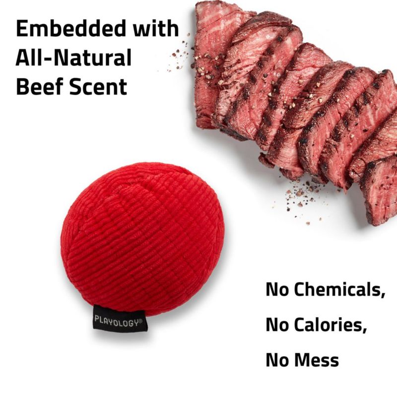 Pelota de Peluche Playology Jumbo con Aroma a Carne de Res y Crujido