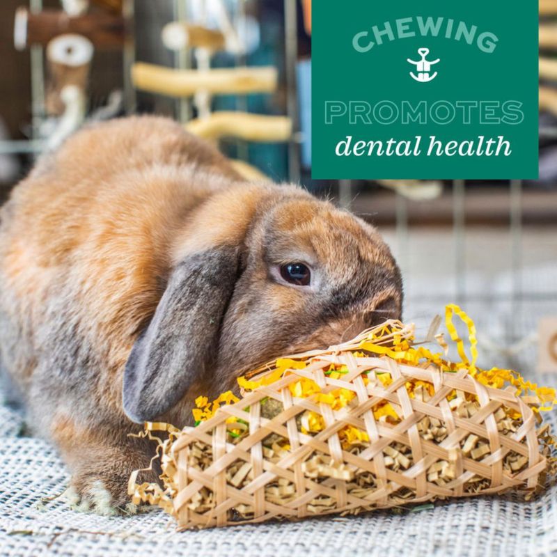 Juguete de Waffle de Heno Oxbow para Conejo y Cobaya