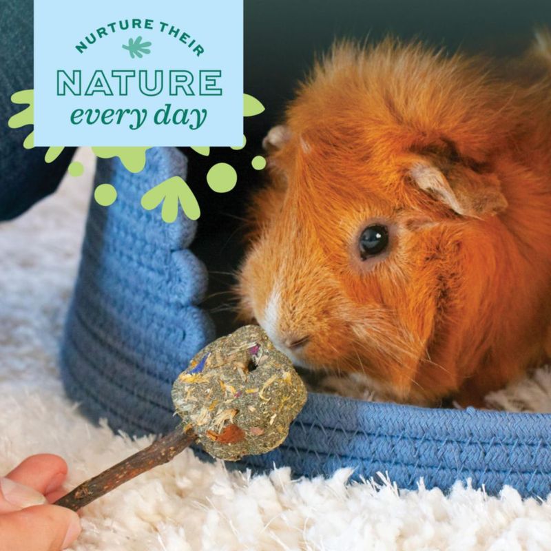 Juguete de Waffle de Heno Oxbow para Conejo y Cobaya