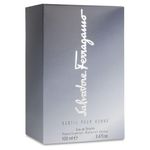 Salvatore Ferragamo Subtil 100Ml Edt Spray - Caballero