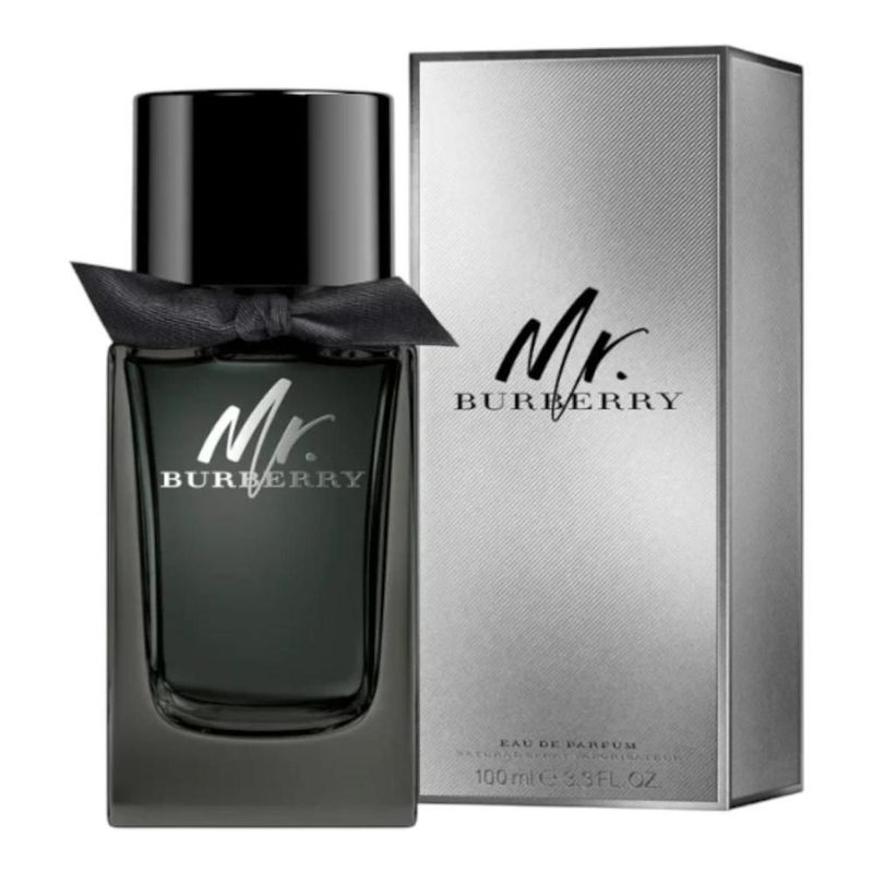 Burberry mr burberry edp 100 ml