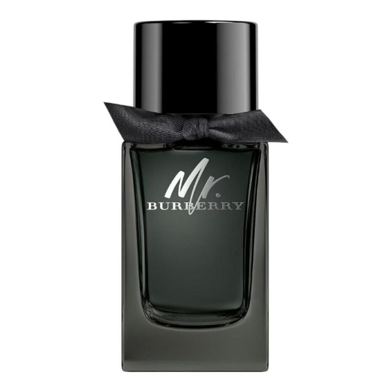 Burberry mr burberry edp 100 ml