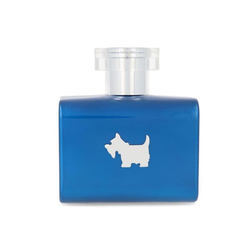 FERRIONI BLUE TERRIER 100ML EDT SPRAY