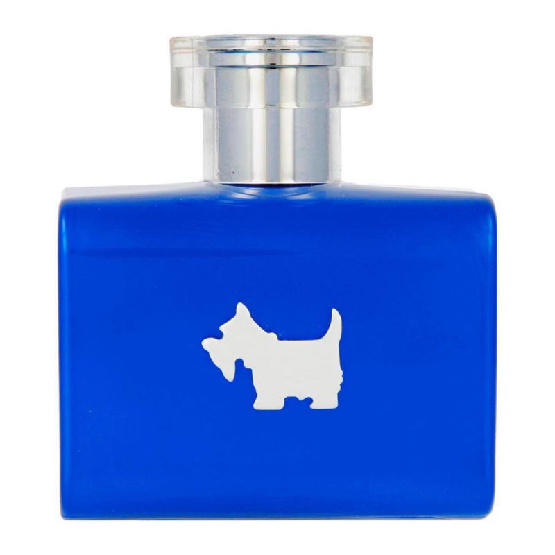 Perfume Ferrioni Terrier Blue 100ml agua de tocador hombre
