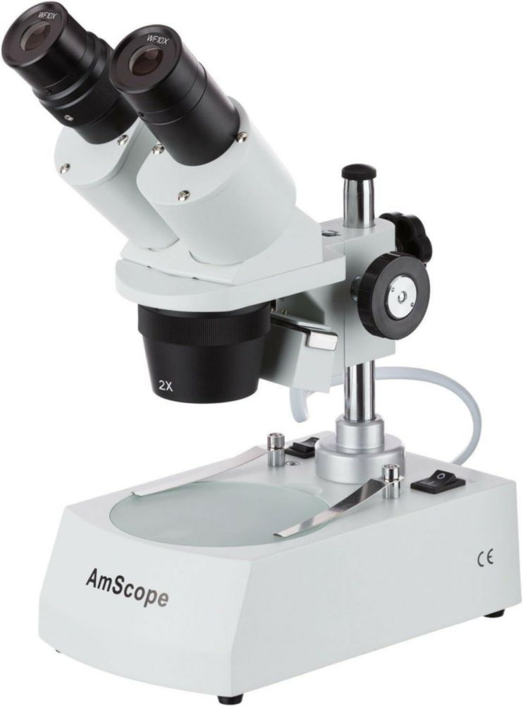 Microscopio binocular AmScope SE306R-P WF10x