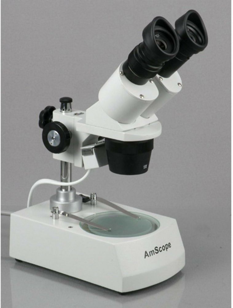 Microscopio binocular AmScope SE306R-P WF10x