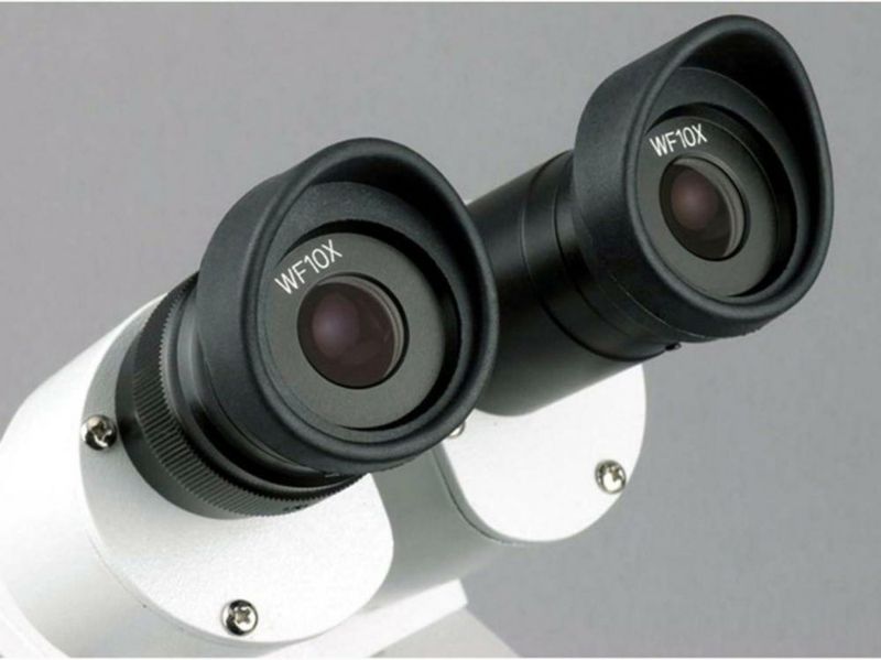 Microscopio binocular AmScope SE306R-P WF10x