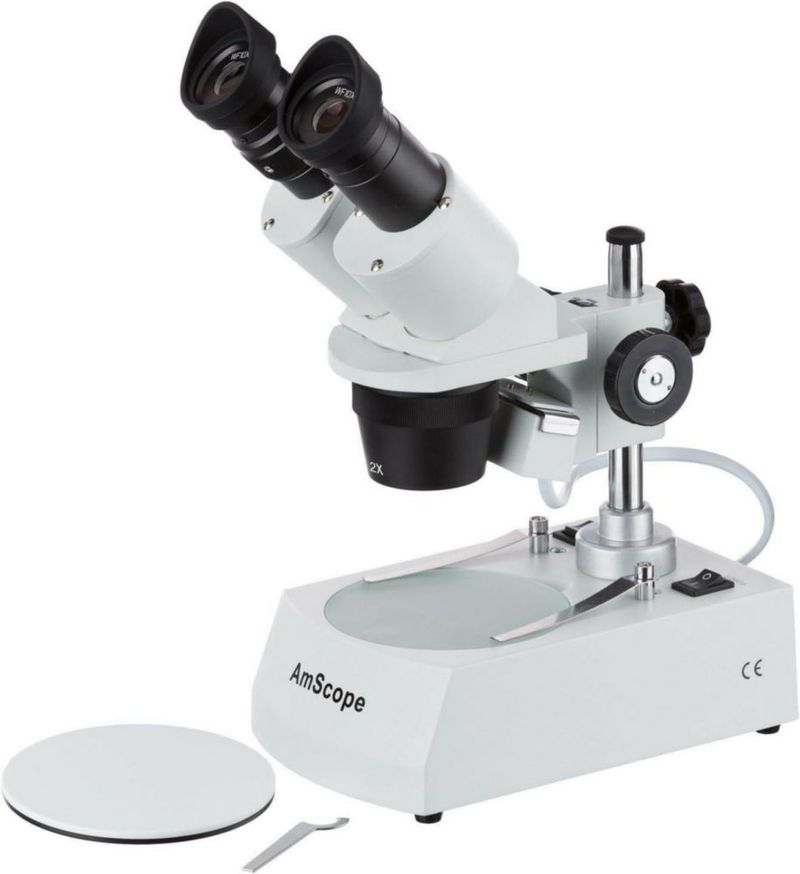Microscopio binocular AmScope SE306R-P WF10x
