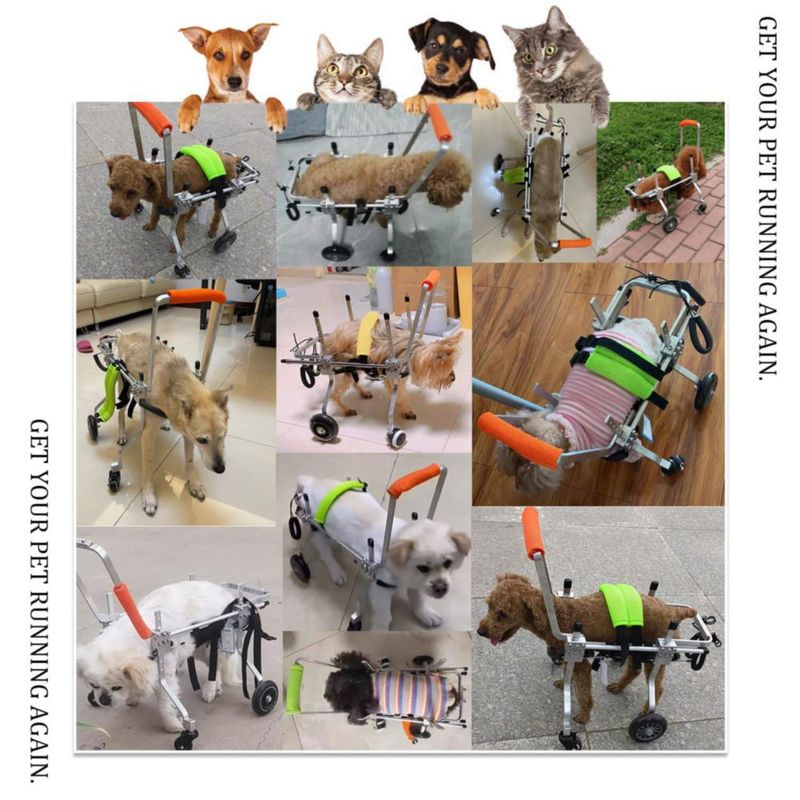 Silla de ruedas para perros RUIFAR de 4 ruedas ajustable (S)