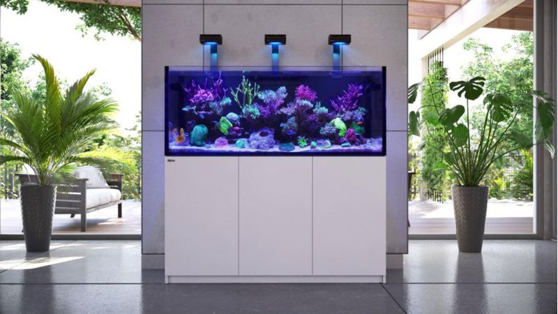 Suplemento KH de 500 ml Red Sea para Tratamiento de Agua