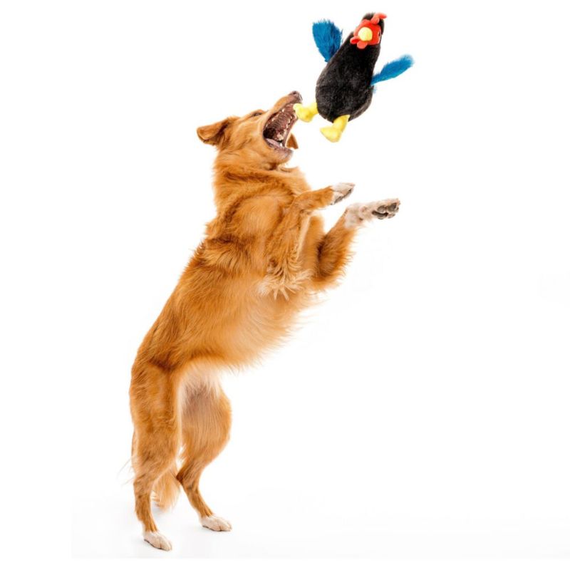 Juguete para perro Playology Gallina de peluche mediano con aroma a pollo