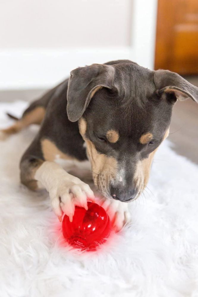 Juguete para perro Pet Qwerks Blinky Babble Ball Grande