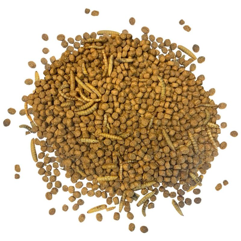 Paquete Inicial Exotic Nutrition para Erizos 08 kg + Rueda