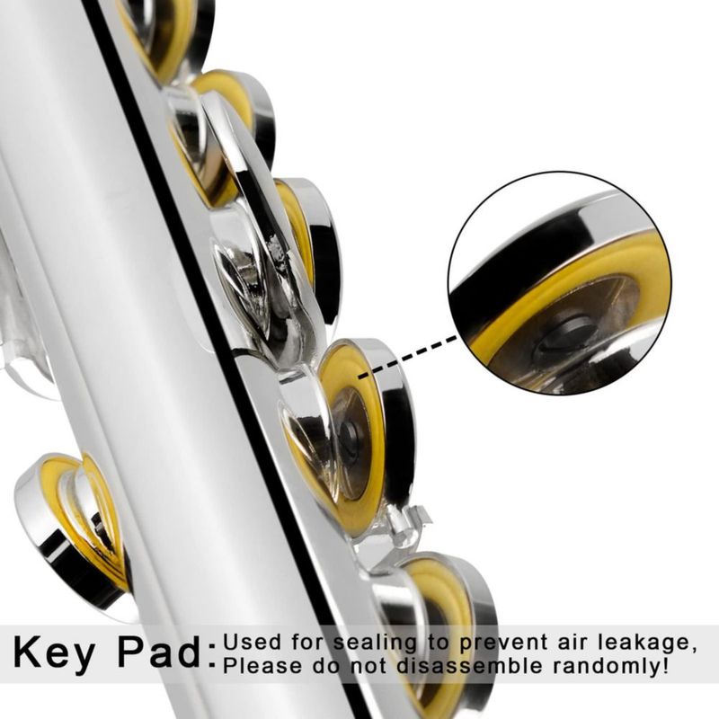 Flauta EASTROCK C de 16 llaves plateada con estuche (Kit)