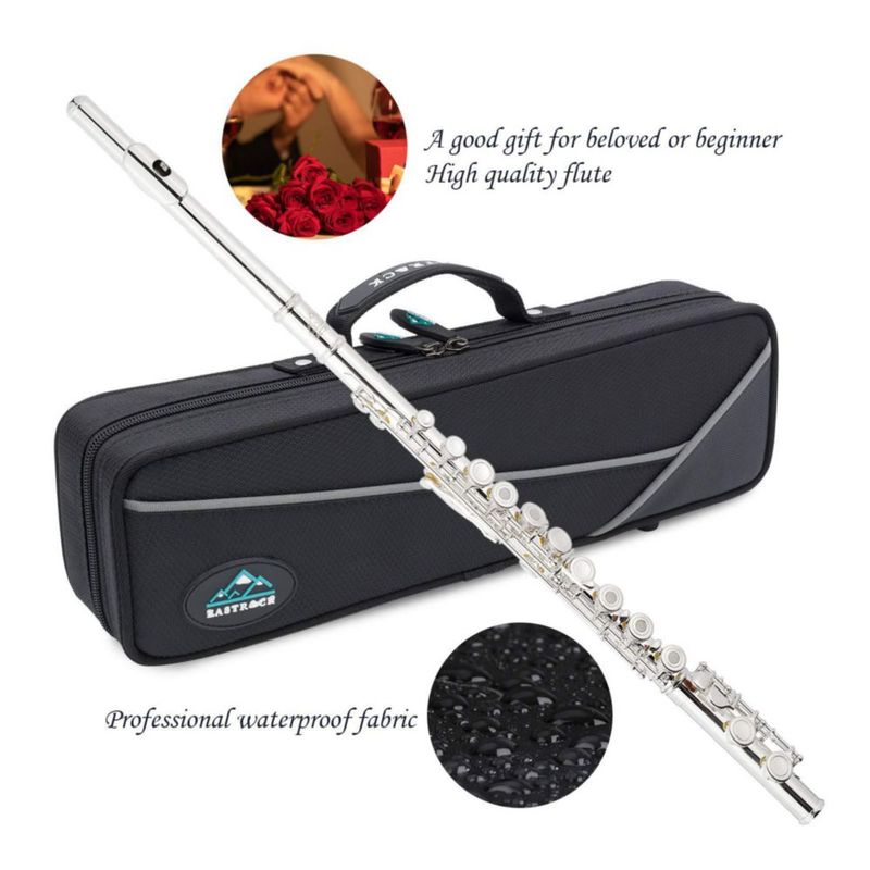 Flauta EASTROCK C de 16 llaves plateada con estuche (Kit)