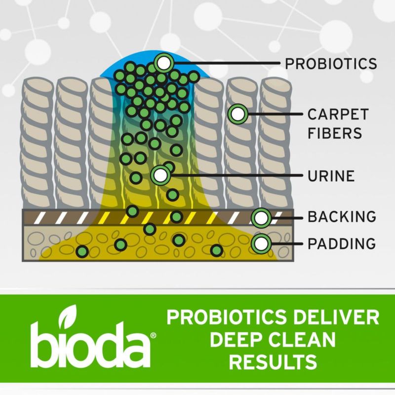 Eliminador de manchas y olores enzimático Bioda 946 ml para mascotas