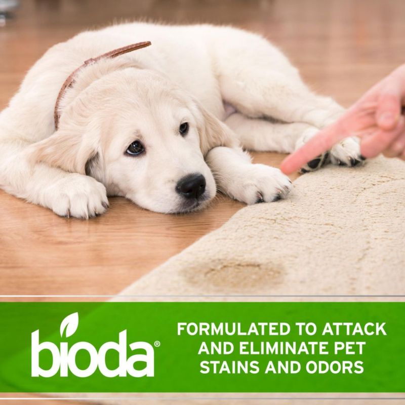 Eliminador de manchas y olores enzimático Bioda 946 ml para mascotas