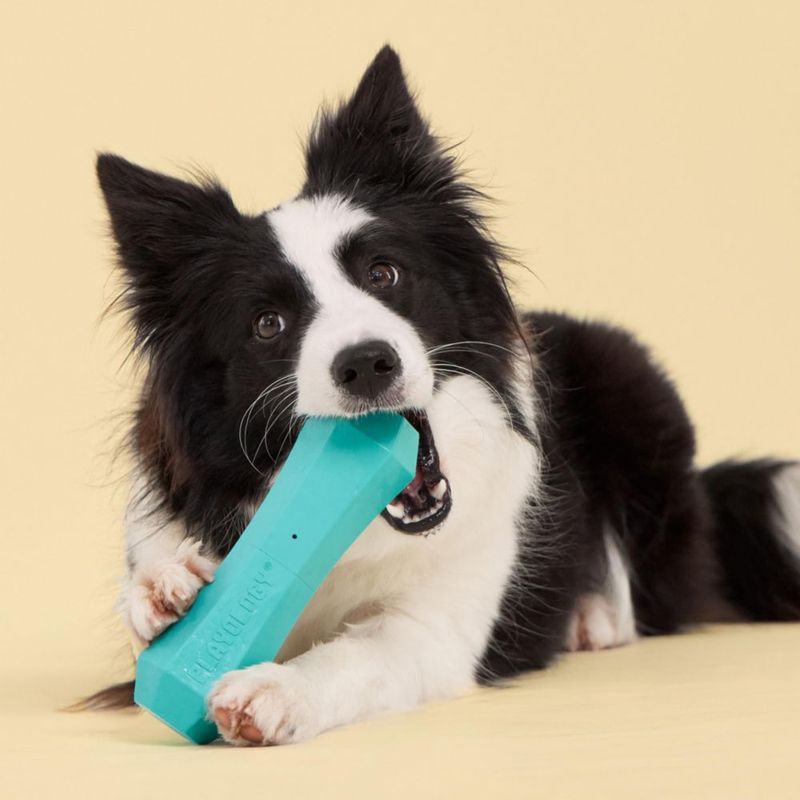 Juguete para perro Playology Palo chirriante Jumbo con aroma a mantequilla de cacahuete