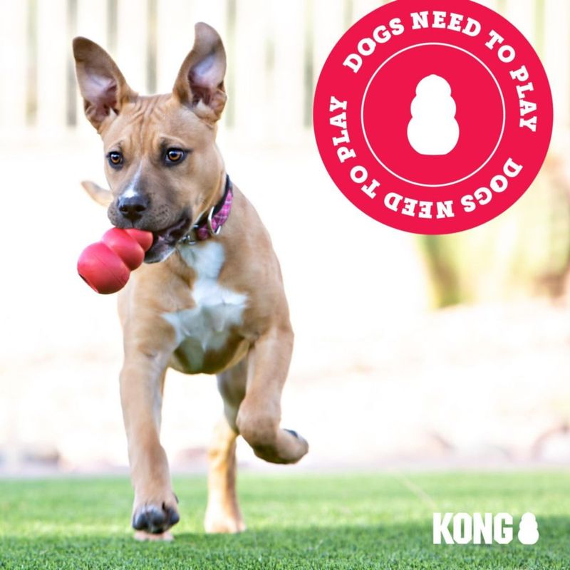 Juguete para perro KONG Scrunch Knots Ardilla Mediano/Grande