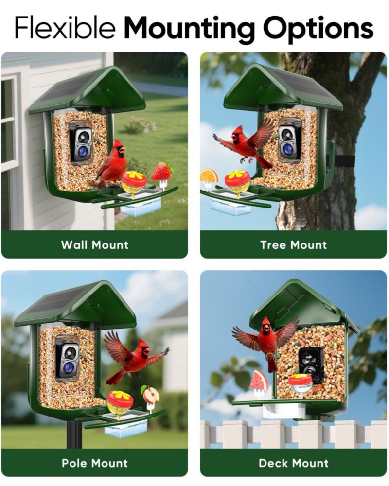 Alimentador de Pájaros VIUBIRD Solar con Cámara 2K HD Capacidad 11 kg Verde