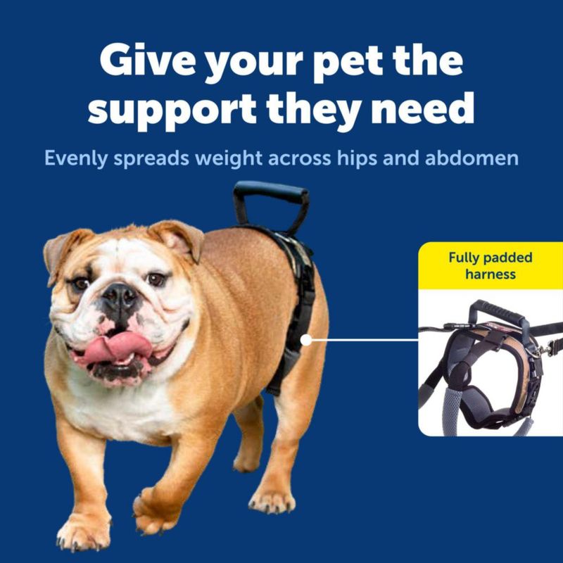 Arnés para Perro PetSafe M 48-79 cm 16-32 kg Negro