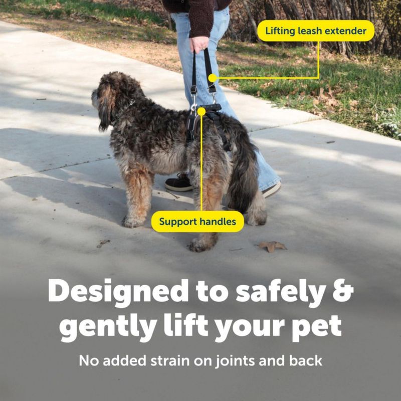 Arnés para Perro PetSafe M 48-79 cm 16-32 kg Negro