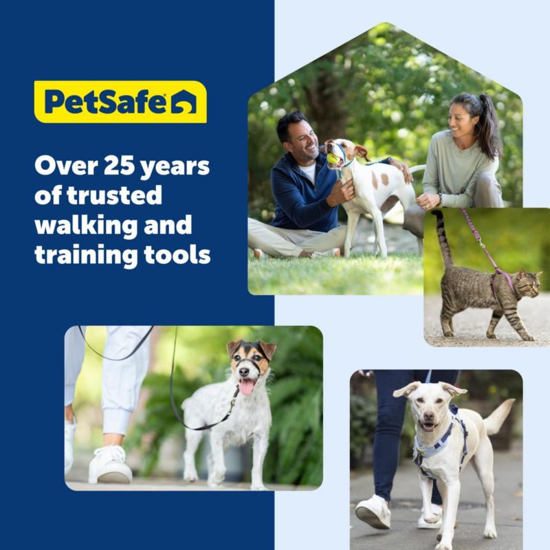 Arnés para Perro PetSafe M 48-79 cm 16-32 kg Negro