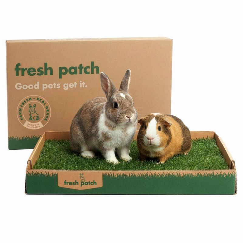 Alfombra de Pasto Fresh Patch 41 cm x 61 cm