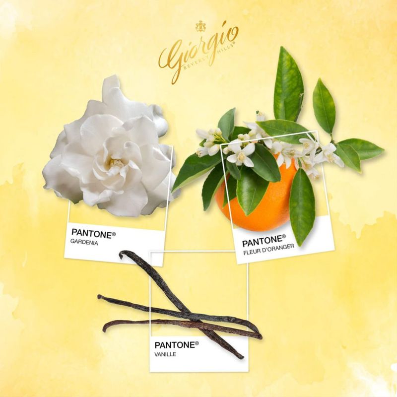 Set de perfume Giorgio Beverly Beverly Giorgio 3.0 EDT + Loción corporal de 50 ml para mujer