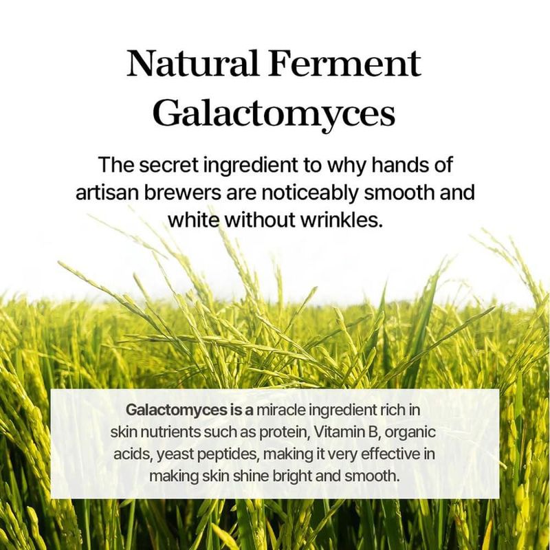 Mezcla de esencia facial Galactomyces Ferment Essence 100 ml