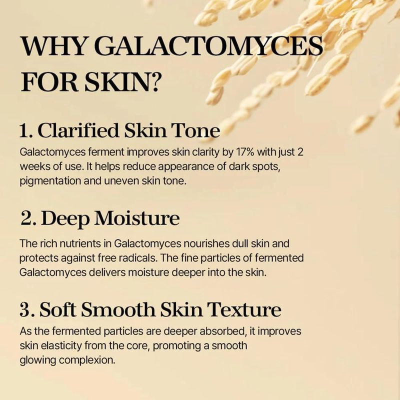 Mezcla de esencia facial Galactomyces Ferment Essence 100 ml
